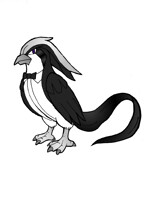 Tuxedo Pidgeot