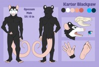 Opossum Karter ref sheet MK4