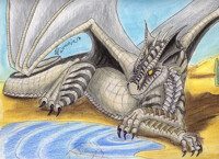 Drash