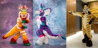 Who will you see at TFF 2017?
