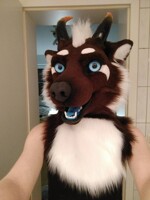 Kiro Fursuit head
