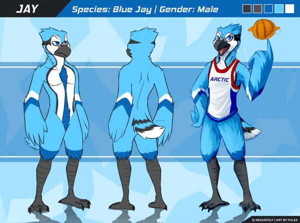 Blue Jay. by TerryWand1962 -- Fur Affinity [dot] net