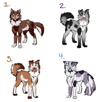 Canine adopts