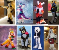 FWA 2017 Line up