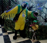 Strolling Through The Carnivorous Plants