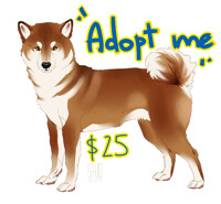 ADOPT ME!