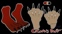 Alternate version of Cocora's paws