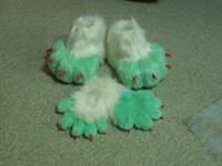 Hand and Feet paws