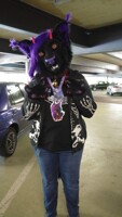 Fursuit Walk Saarbrücken City