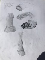 Peets Practice