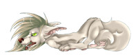 Flop
