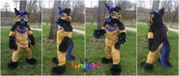 Levi GSD Fullsuit