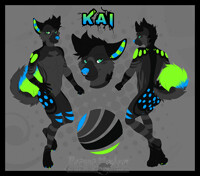 Commission: Kai Ref