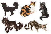 100 Warrior Cats Challenge: 26-30