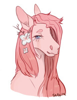 [c] flowers