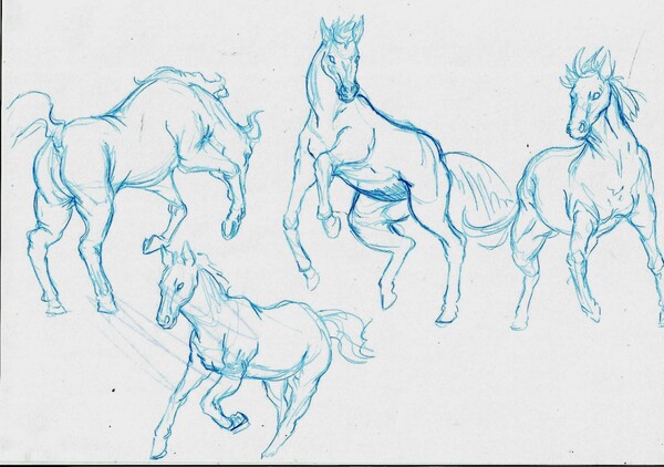 Hi! I'm trying to learn how to draw horses, so I've done a few studies, and  then I tried drawing different horses from imagination (in the photo I've  linked), but for some
