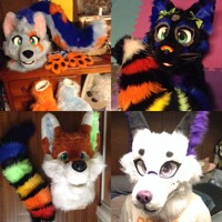 Some partial orders I've had