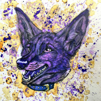 Mug Shots - Syfaro