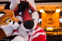 Cute foxy!