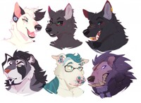 Headshots 2