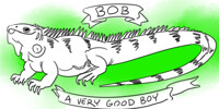 Bob