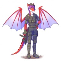 request (Donor ver.2)