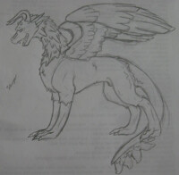 Sawyer sketch