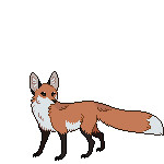 what does the fox say