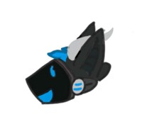 Axi Headshot