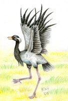 Crane Black and White