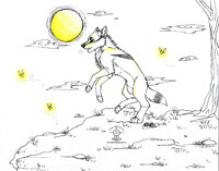 COMMISSION: Coyote Moon Sketch