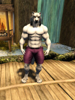 fuffly muscled striped kitty!