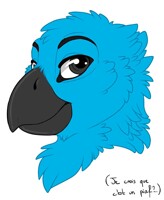 I think it's a burd ?.. [gift]