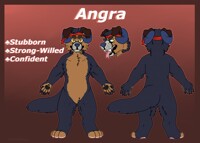 [C] Angra Reference