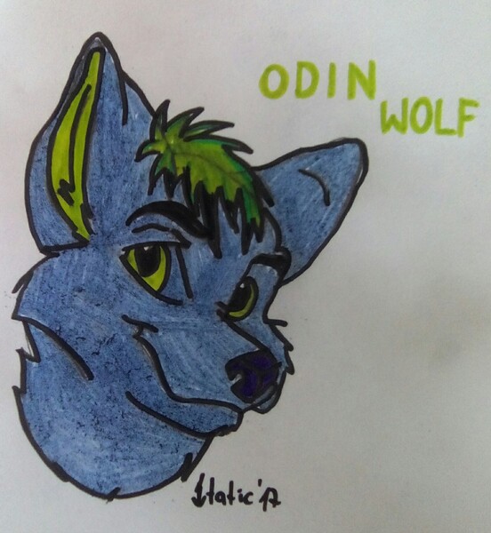 Odin Trunk by Wolfman-Al -- Fur Affinity [dot] net