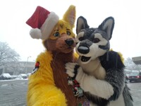 Snow Wolves (MFF 16)