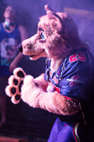 FurDU 2017: Paskhowl 1