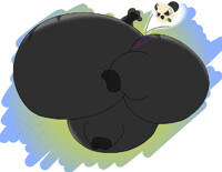 pancham pouch.