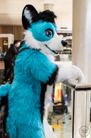 FurDU 2017: BluTooth 1