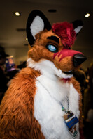 FurDU 2017: Jae 2
