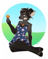 Sundress Aja