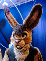 Eurofurence 2016 : Toffi
