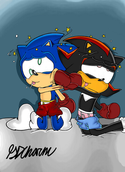 Sonic X  Sonic VS Shadow!! Shadow Likes to Fight Dirty 