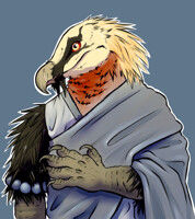 Aarakocra Monk