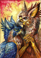Pair