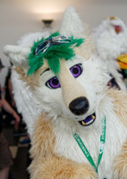 Eurofurence 2016 : Dodges