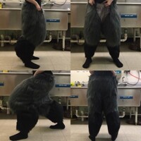 grey scale digi legs