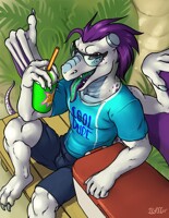 Patreon: Cool Dude