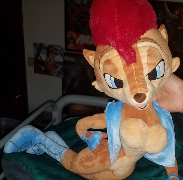 sally plush sonic