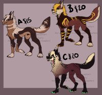 Set Price Wolves Open!